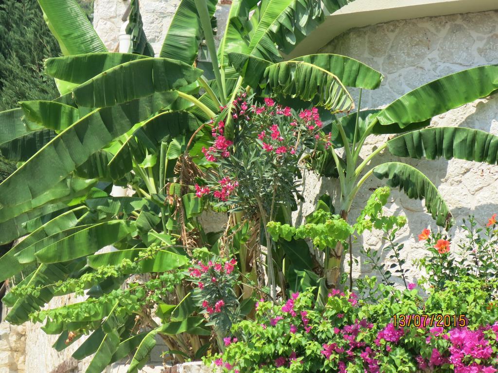 Kulube Hotel Kalkan Buitenkant foto